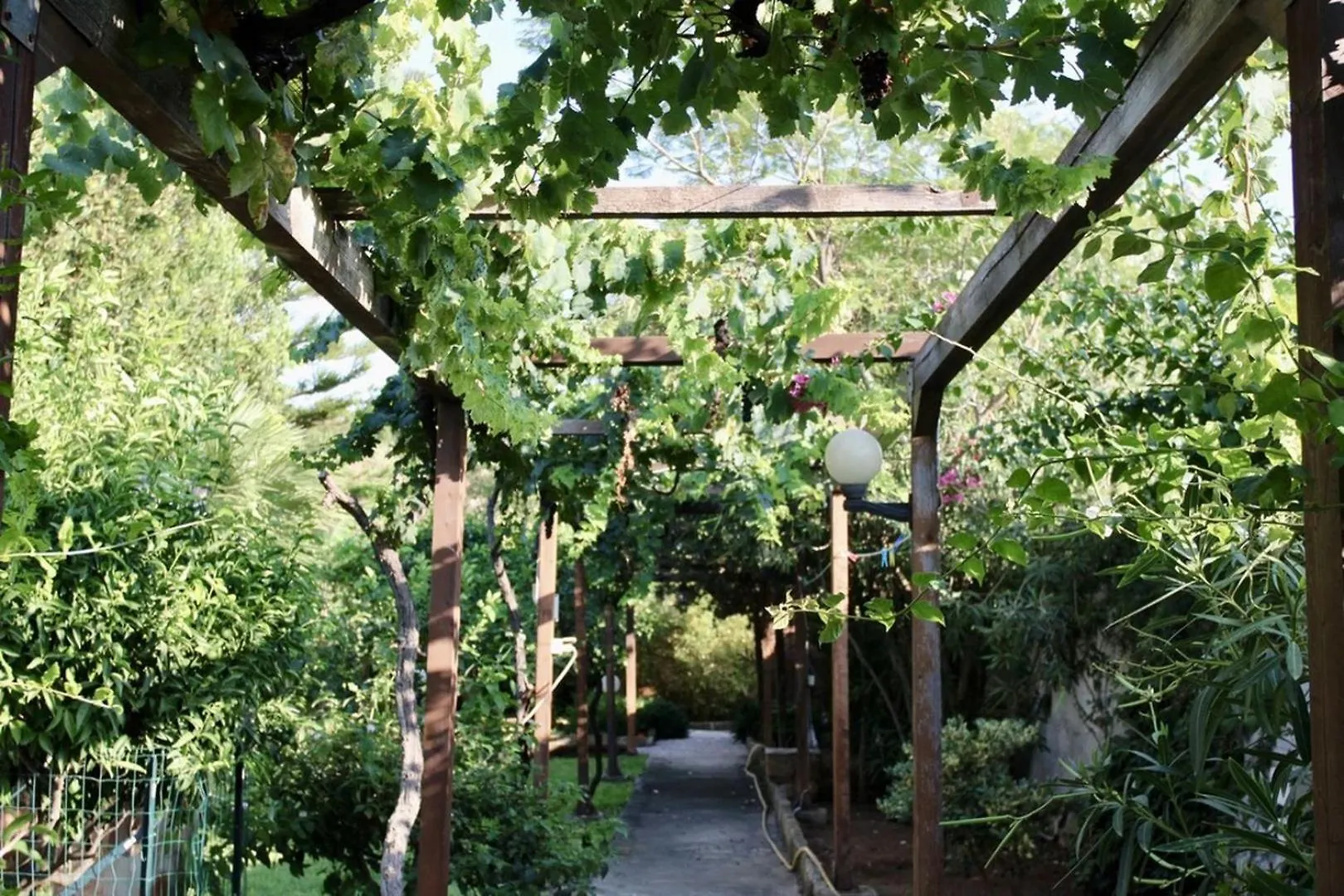 Villa Enza Bellissima Villa Con Piscina Terrasini Italy