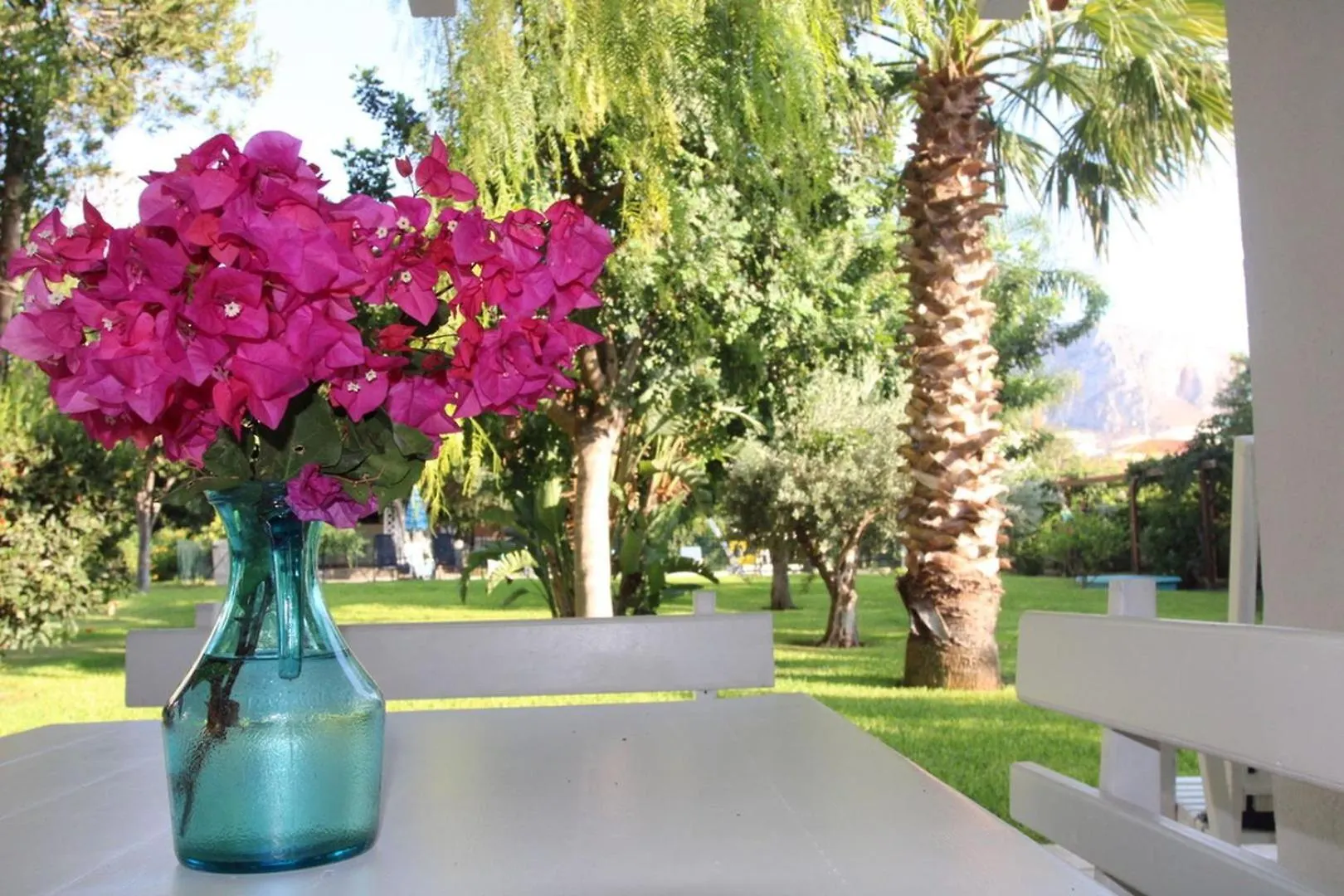 Villa Enza Bellissima Villa Con Piscina Terrasini Italy